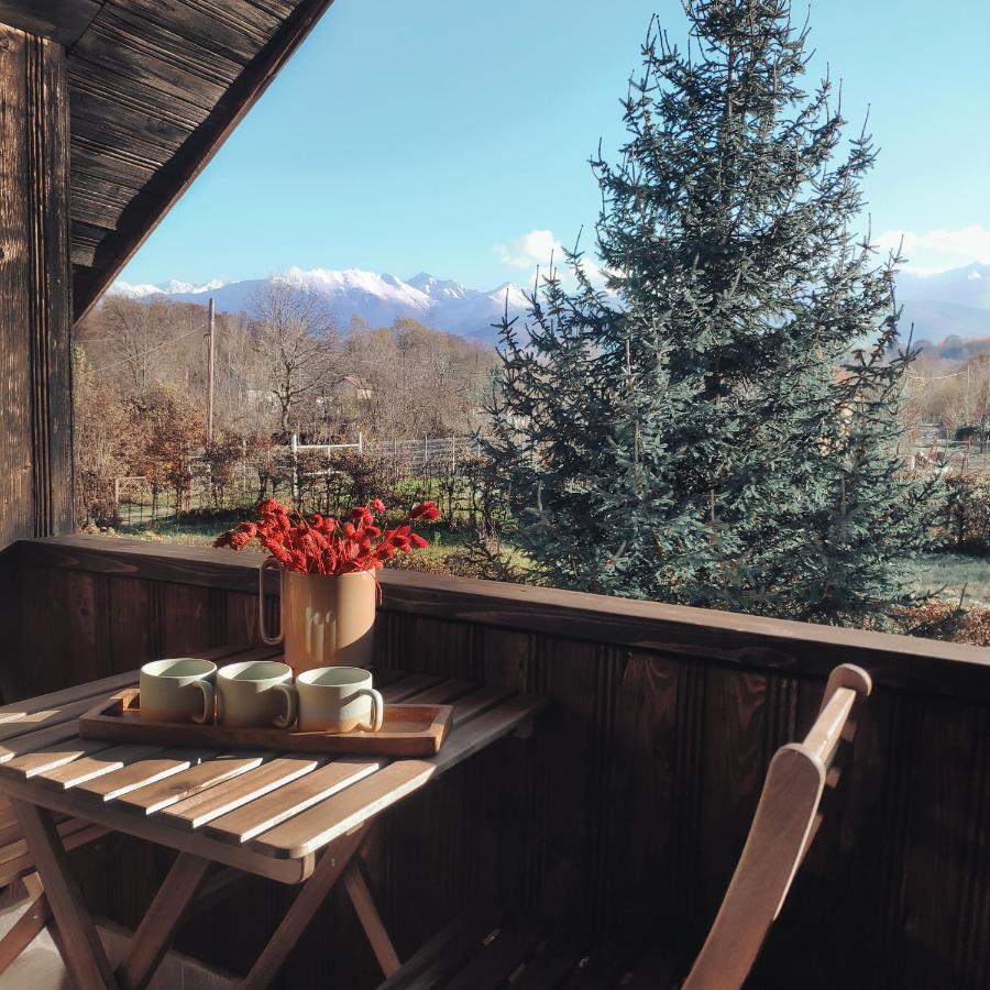 Cuib Din Fagaras Villa อาวริก ภายนอก รูปภาพ