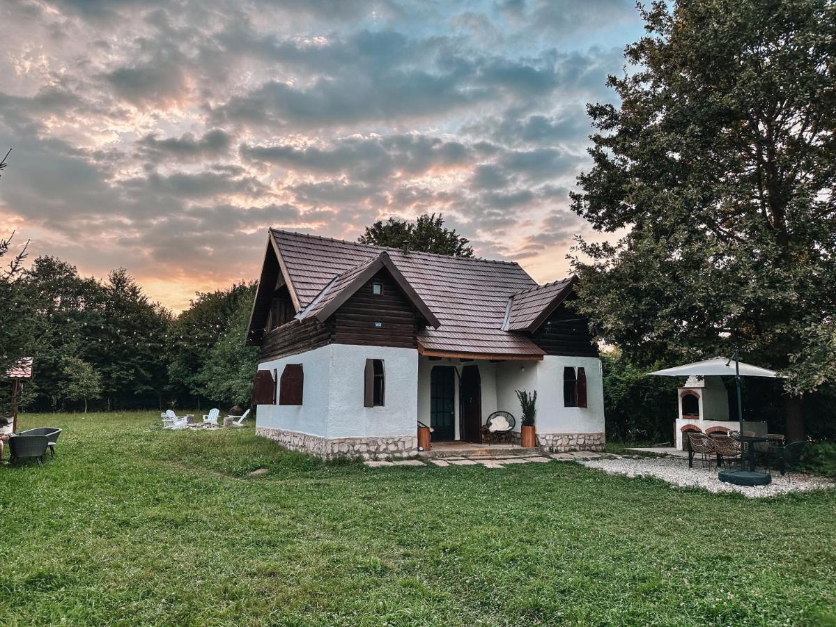 Cuib Din Fagaras Villa อาวริก ภายนอก รูปภาพ