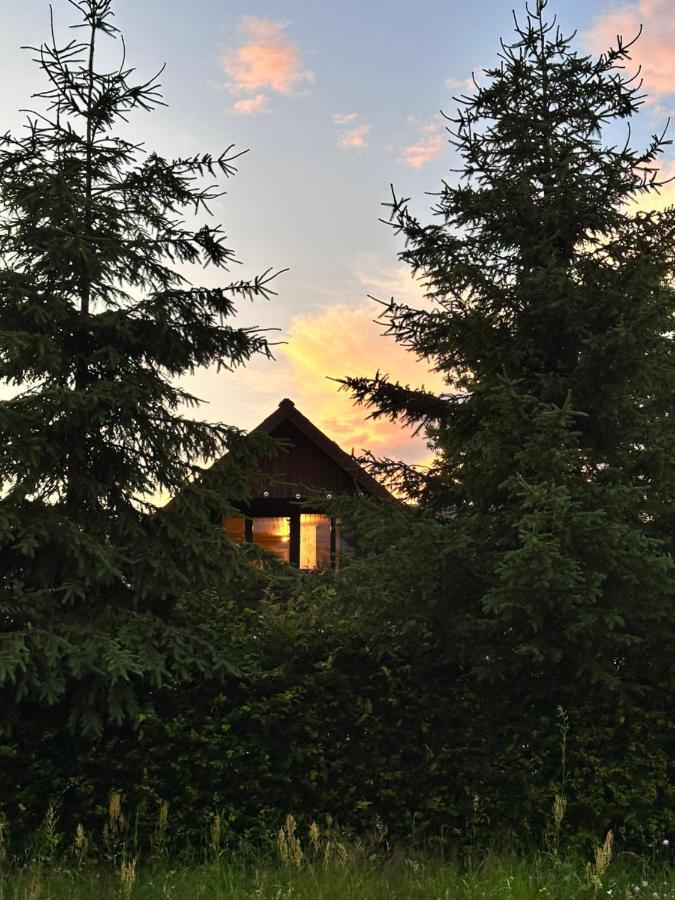 Cuib Din Fagaras Villa อาวริก ภายนอก รูปภาพ