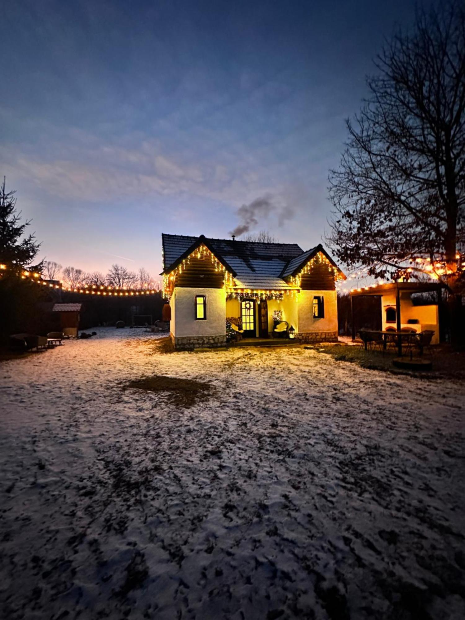 Cuib Din Fagaras Villa อาวริก ภายนอก รูปภาพ