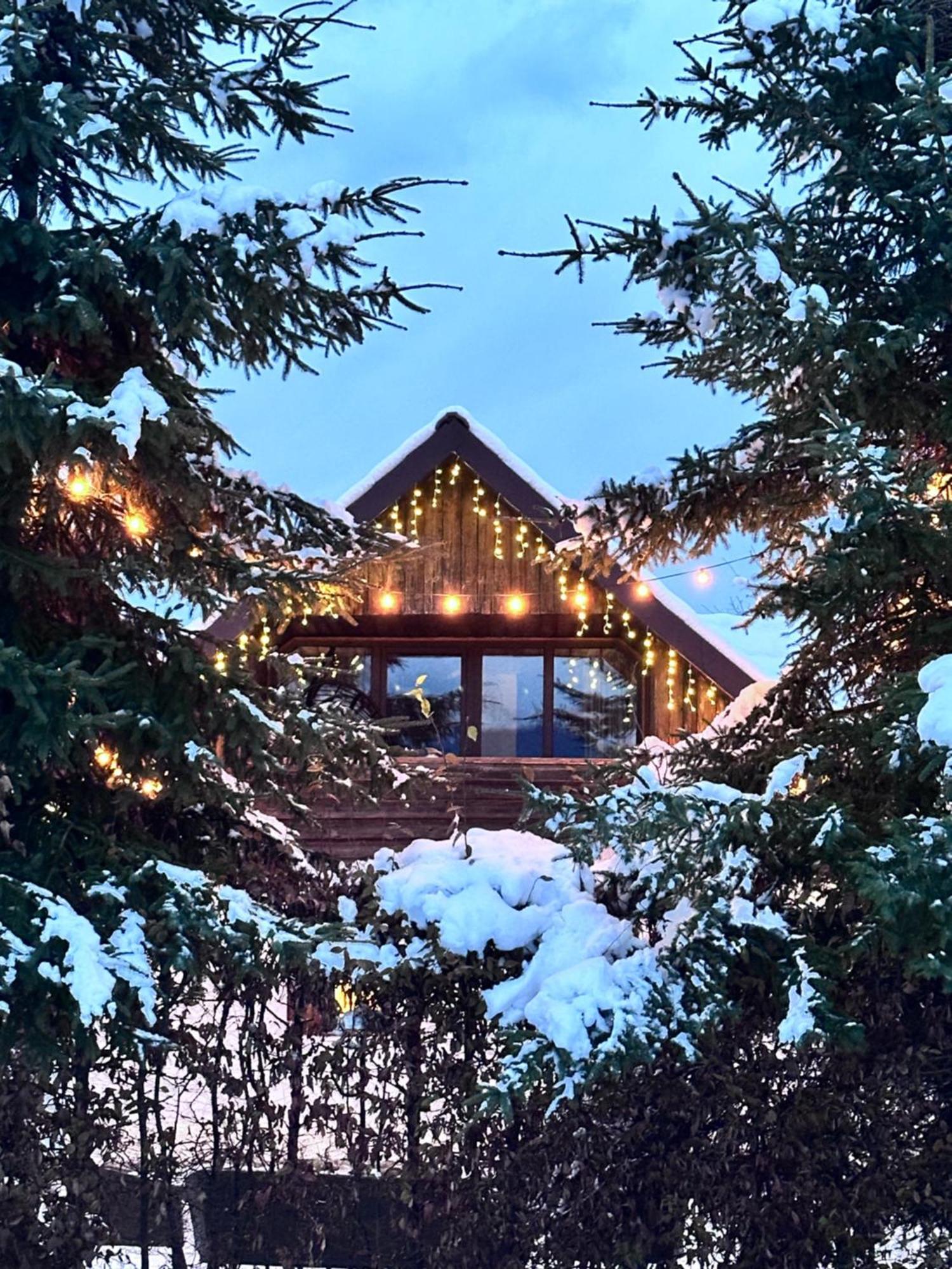 Cuib Din Fagaras Villa อาวริก ภายนอก รูปภาพ